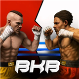 Brutal Knuckle Boxing