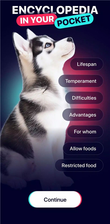 DogTok - Dog Translator screenshot3