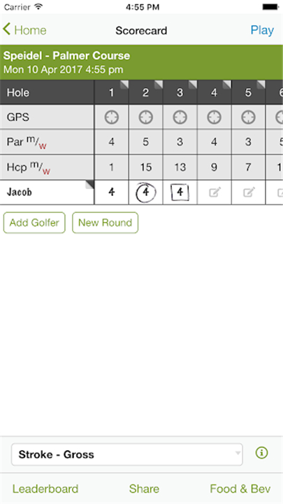 Oglebay Golf screenshot3
