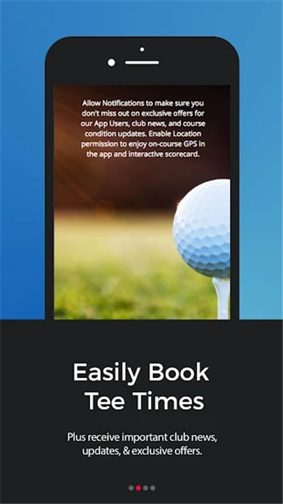 VanGolf screenshot2