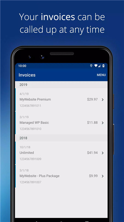 IONOS screenshot3