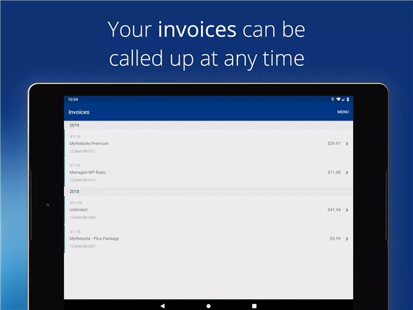 IONOS screenshot7