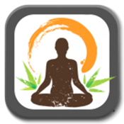 Yoga Lessons - Meditation