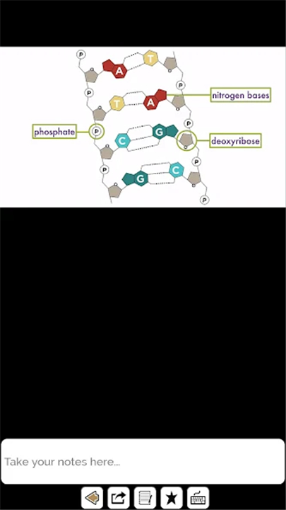Biology Lectures screenshot3