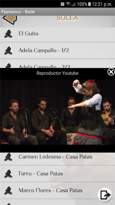 Flamenco - Cante y Baile screenshot5