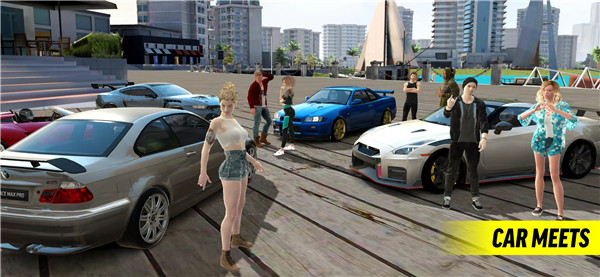 Race Max Pro - Car Racing screenshot1
