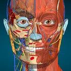Anatomy Learning - 3D Anatomy