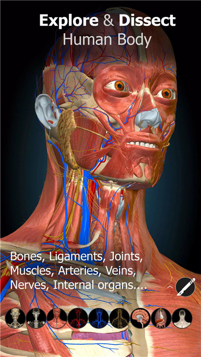 Anatomy Learning - 3D Anatomy screenshot1