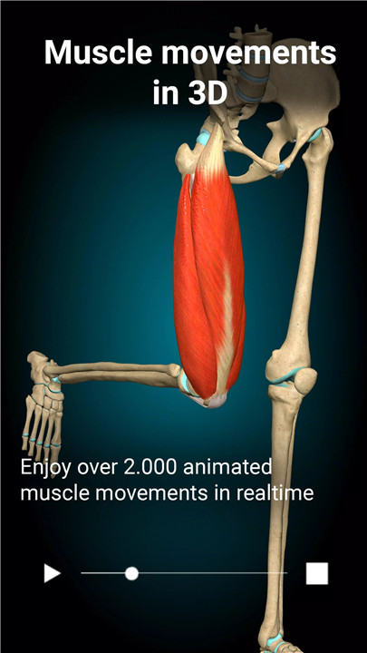 Anatomy Learning - 3D Anatomy screenshot2