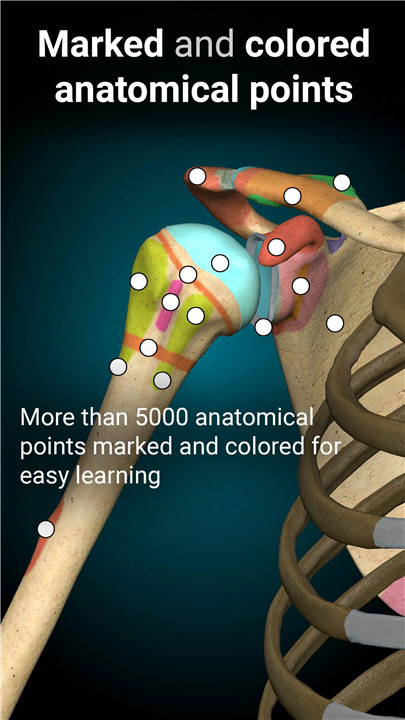 Anatomy Learning - 3D Anatomy screenshot3