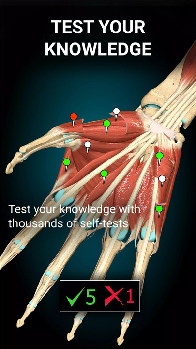 Anatomy Learning - 3D Anatomy screenshot5