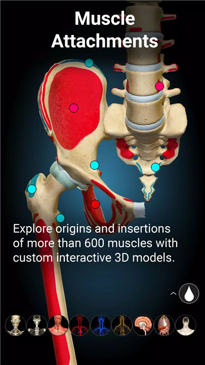 Anatomy Learning - 3D Anatomy screenshot4