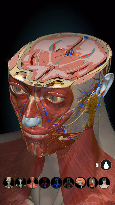 Anatomy Learning - 3D Anatomy screenshot8