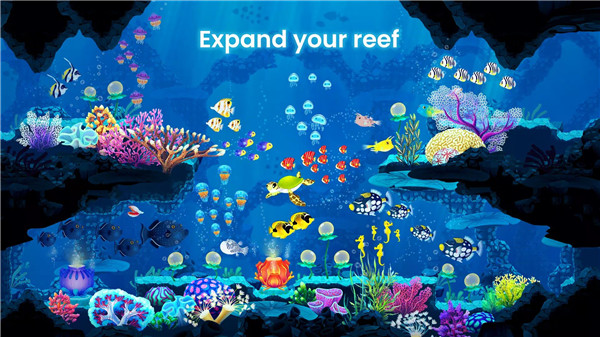 Splash — Fish Aquarium screenshot5