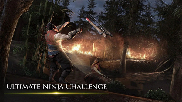 Takashi Ninja Samurai Game screenshot3