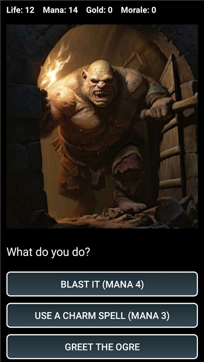 Dungeons and Decisions RPG screenshot1