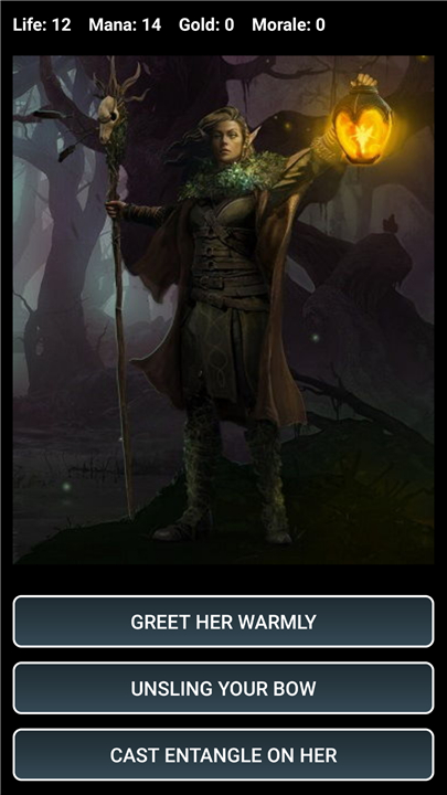 Dungeons and Decisions RPG screenshot2