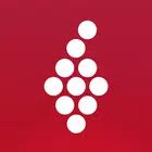 Vivino: Drink the Right Wine