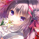 染成红色的真爱百合