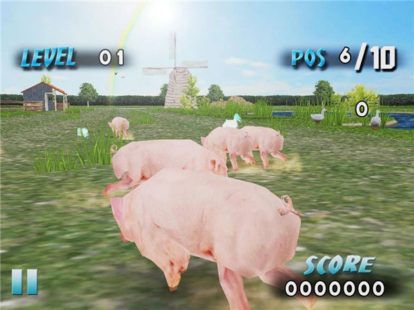 Farm Race screenshot1