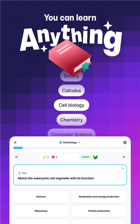 Gizmo: AI Flashcards and Tutor screenshot6