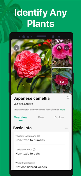 PictureThis - Plant Identifier screenshot2