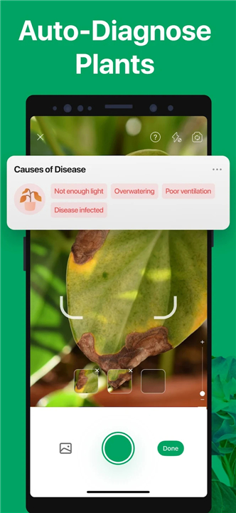 PictureThis - Plant Identifier screenshot4