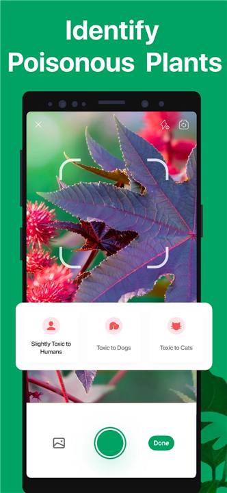 PictureThis - Plant Identifier screenshot6