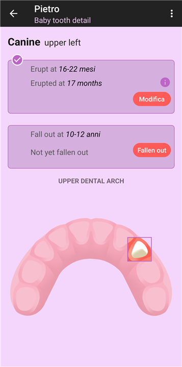 The Tooth Mouse screenshot4