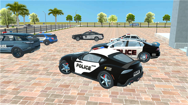 Extreme Police Chase Car Game screenshot1