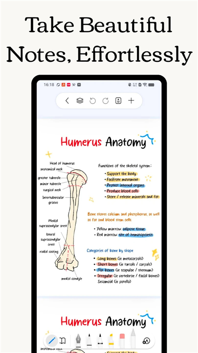 Freenotes - Notes Taking & PDF screenshot1