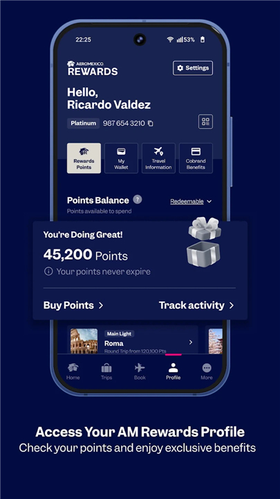 Aeroméxico screenshot4