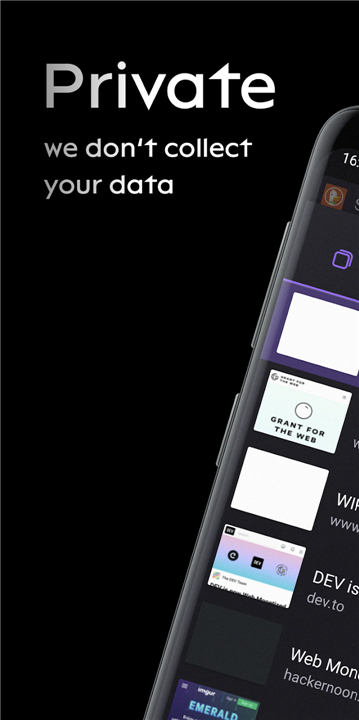 Puma Browser: private local Ai screenshot3