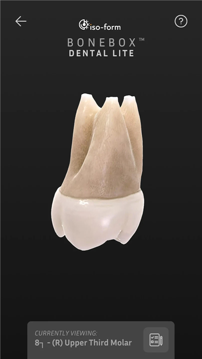 BoneBox™ - Dental Lite screenshot2