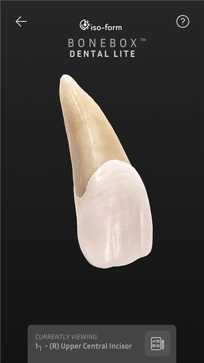 BoneBox™ - Dental Lite screenshot3