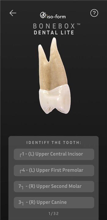 BoneBox™ - Dental Lite screenshot4