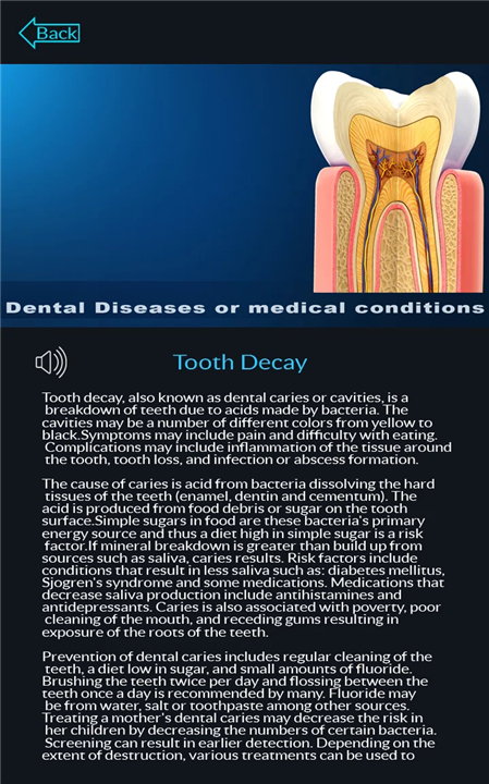 Dental Anatomy Pro. screenshot3