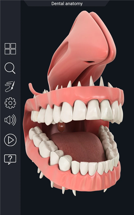 Dental Anatomy Pro. screenshot5