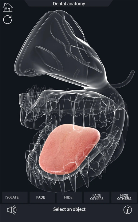 Dental Anatomy Pro. screenshot7