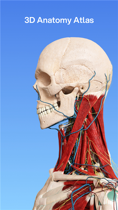 VOKA 3D Anatomy and Physiology screenshot1