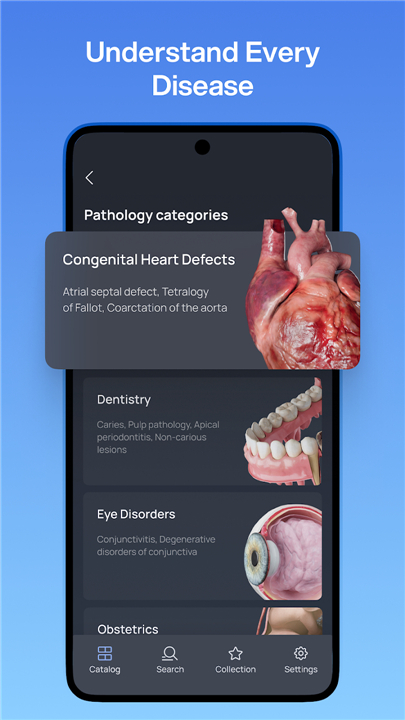 VOKA 3D Anatomy and Physiology screenshot2