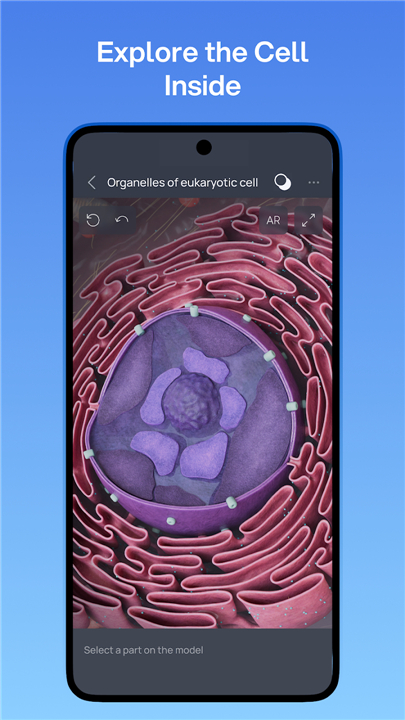 VOKA 3D Anatomy and Physiology screenshot4