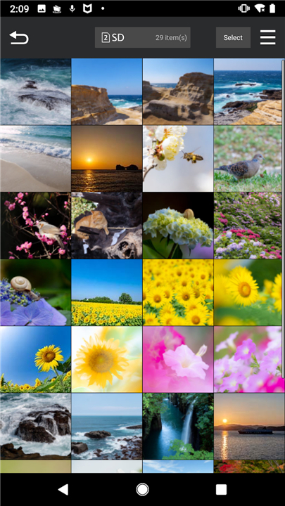 Panasonic LUMIX Sync screenshot2