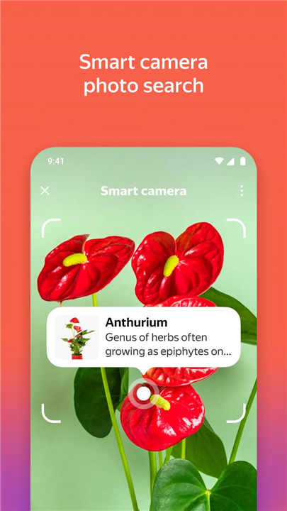 Yandex Search screenshot2