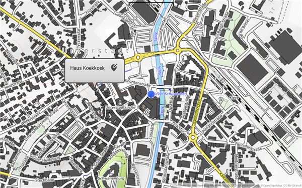 OpenTopoMap Viewer screenshot5