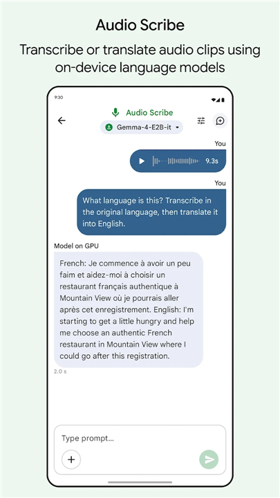 Google AI Edge Gallery screenshot5