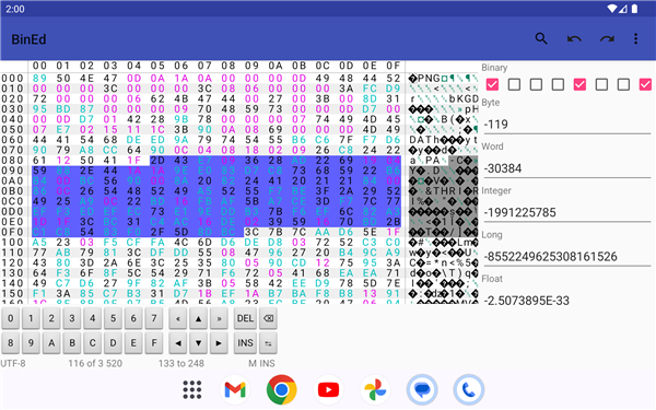 BinEd - Hex Editor screenshot3