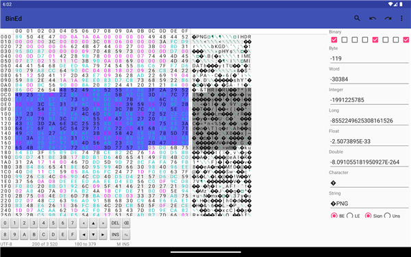 BinEd - Hex Editor screenshot4