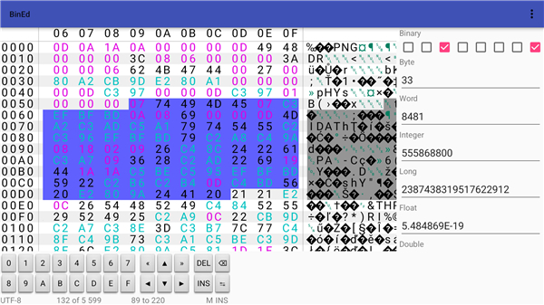 BinEd - Hex Editor screenshot5