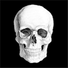 MorbidMeter Widget